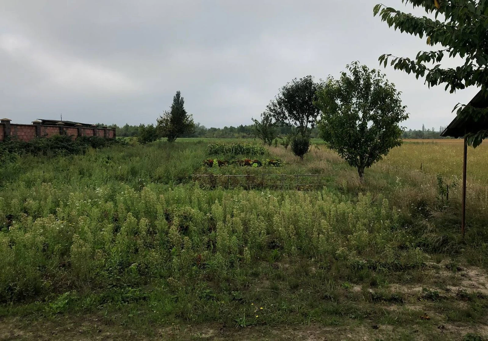 Будинок, Княгининок: бесідка, гараж із підвалом, 15 соток, фото 5