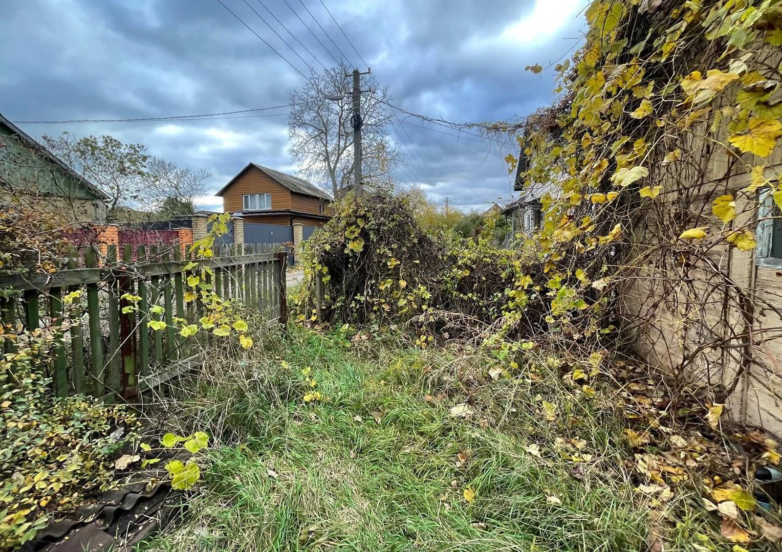 Ділянка 6.2 сотки, Осокорки: сад, паркан, свердловина - фото 3