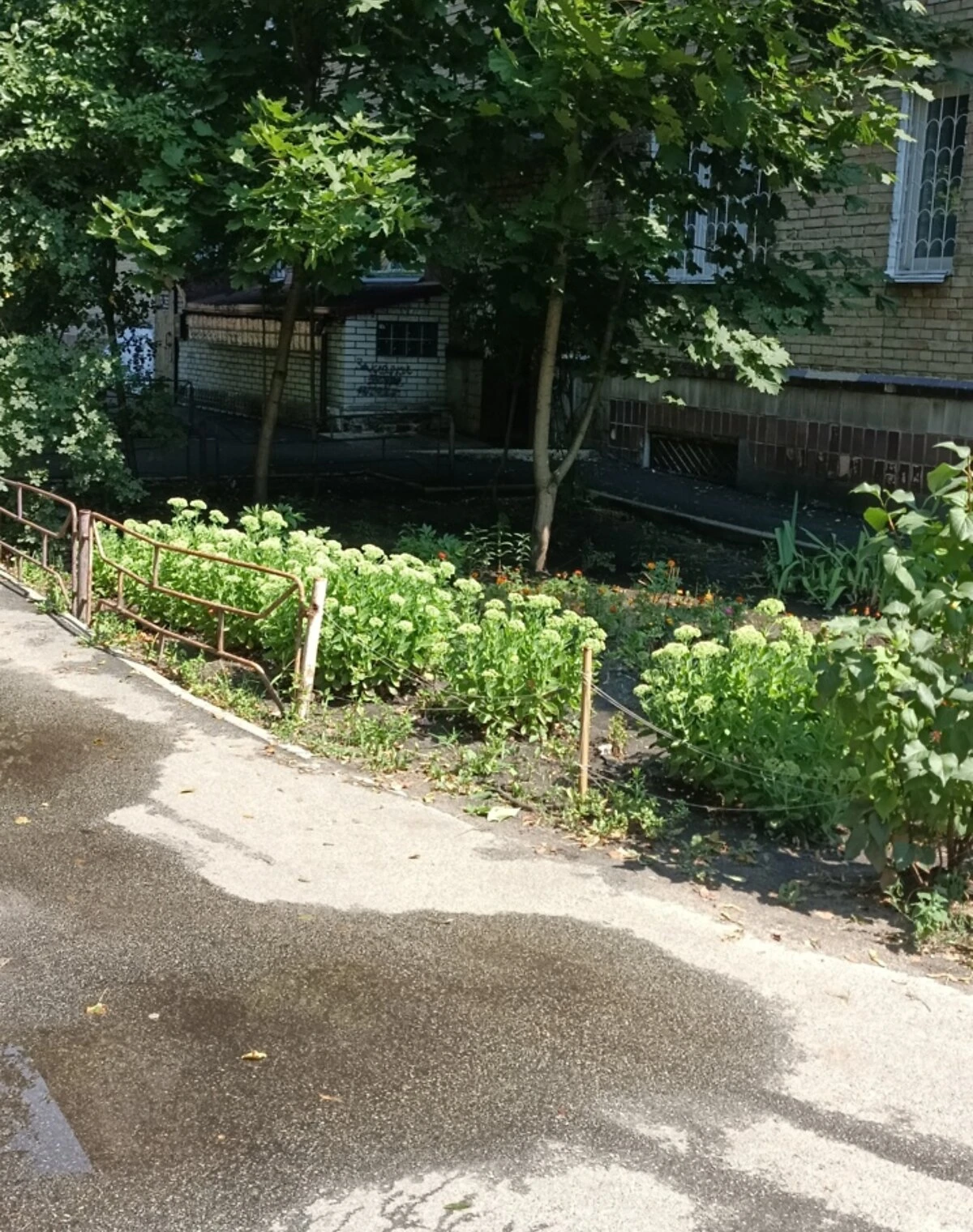 1-кімнатна квартира, Нивки: торг можливий - фото 1