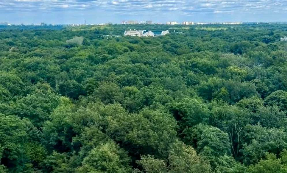 2-комнатная квартира, ЖК Теремки: вид на парк, резервное питание - фото 4