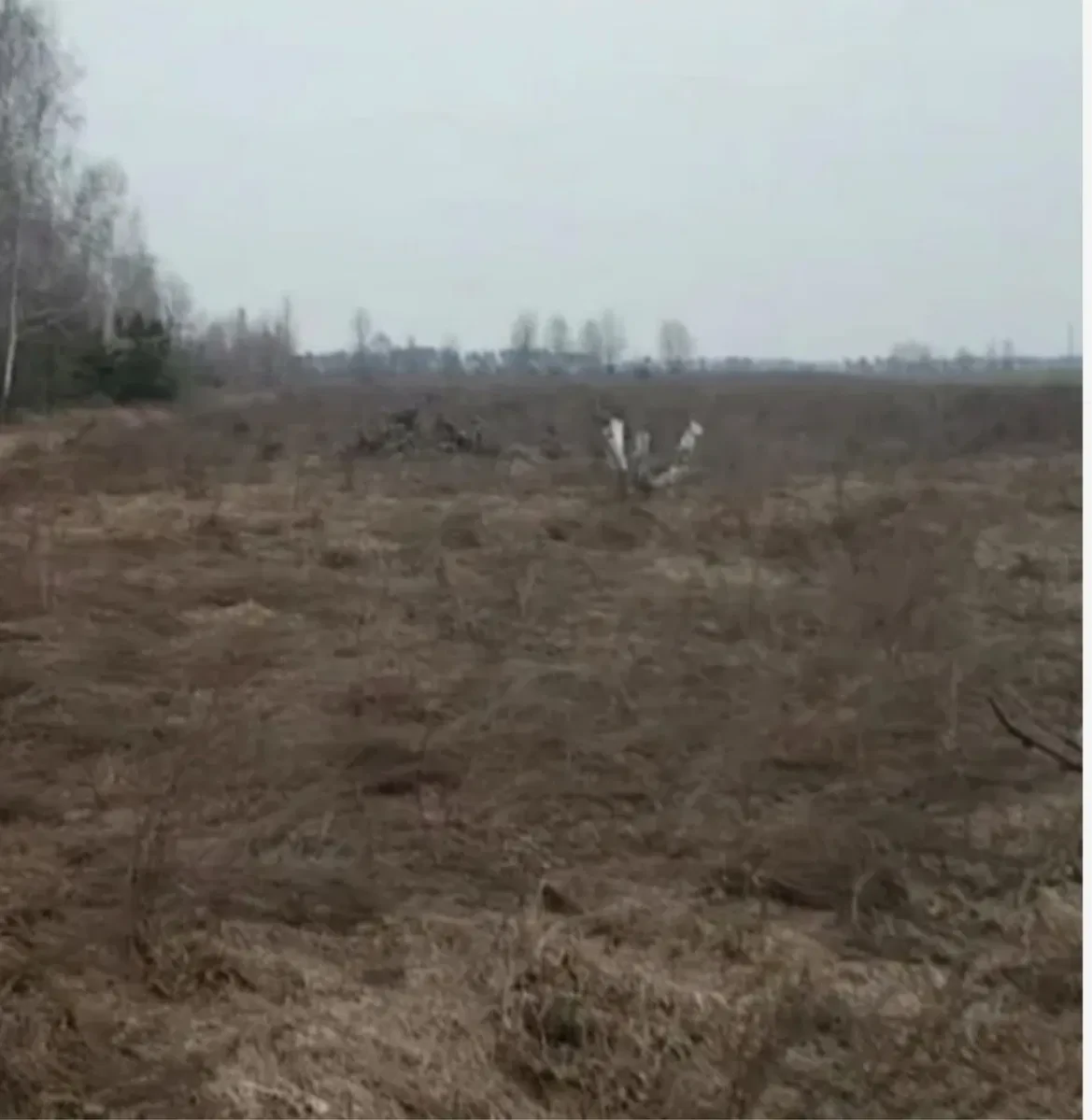 Участок 600 соток, Лесовичи: ОСГ, озеро и лес рядом, фото 2