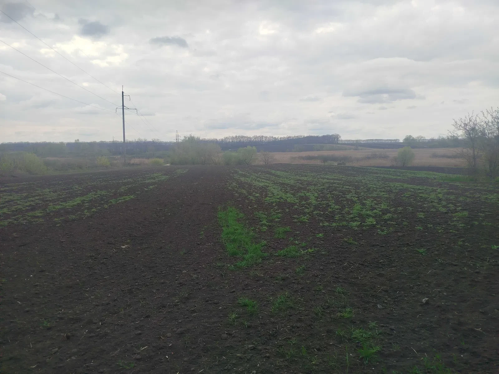 Дача, Драбів: річка поруч, 65 соток, приватизована земля - фото 3
