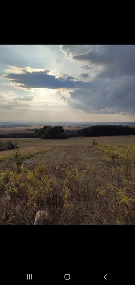 Ділянка 0.16 соток, Заболоття: під забудову, обмін на авто - фото 3