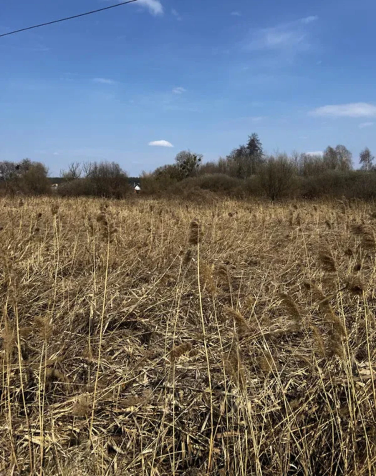 Ділянка 12 соток, Віта-Поштова: під житлову забудову, електрика - фото 2