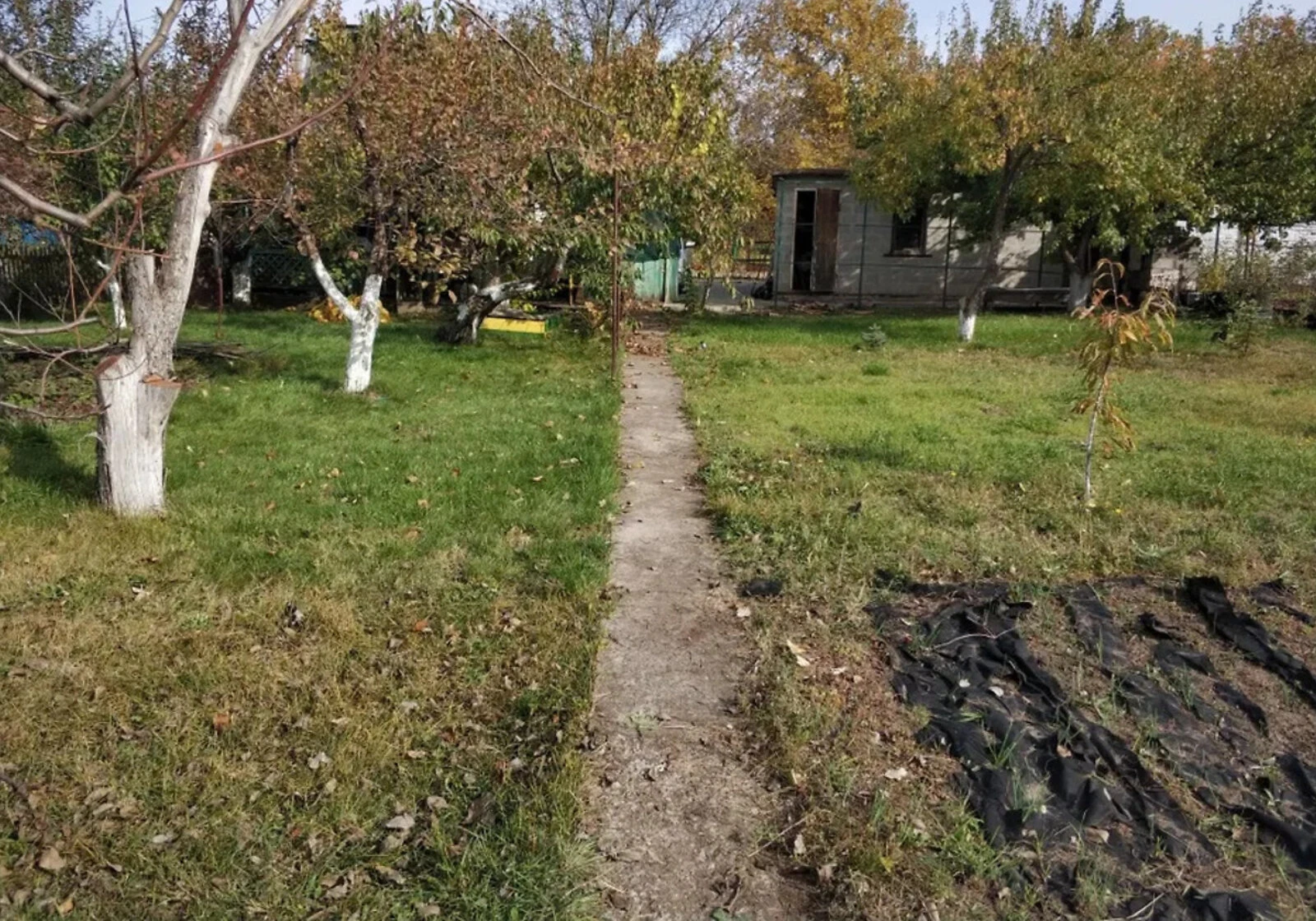 Дача, Вільне: 6 соток, бесідка, гараж у дворі, фото 4