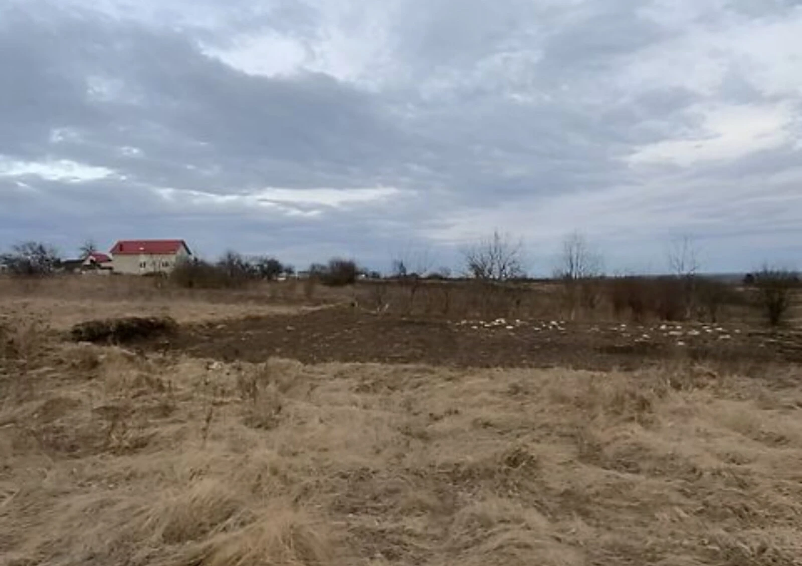 Ділянка 6 соток, Книжківці: чорнозем, рівнинний рельєф - фото 2