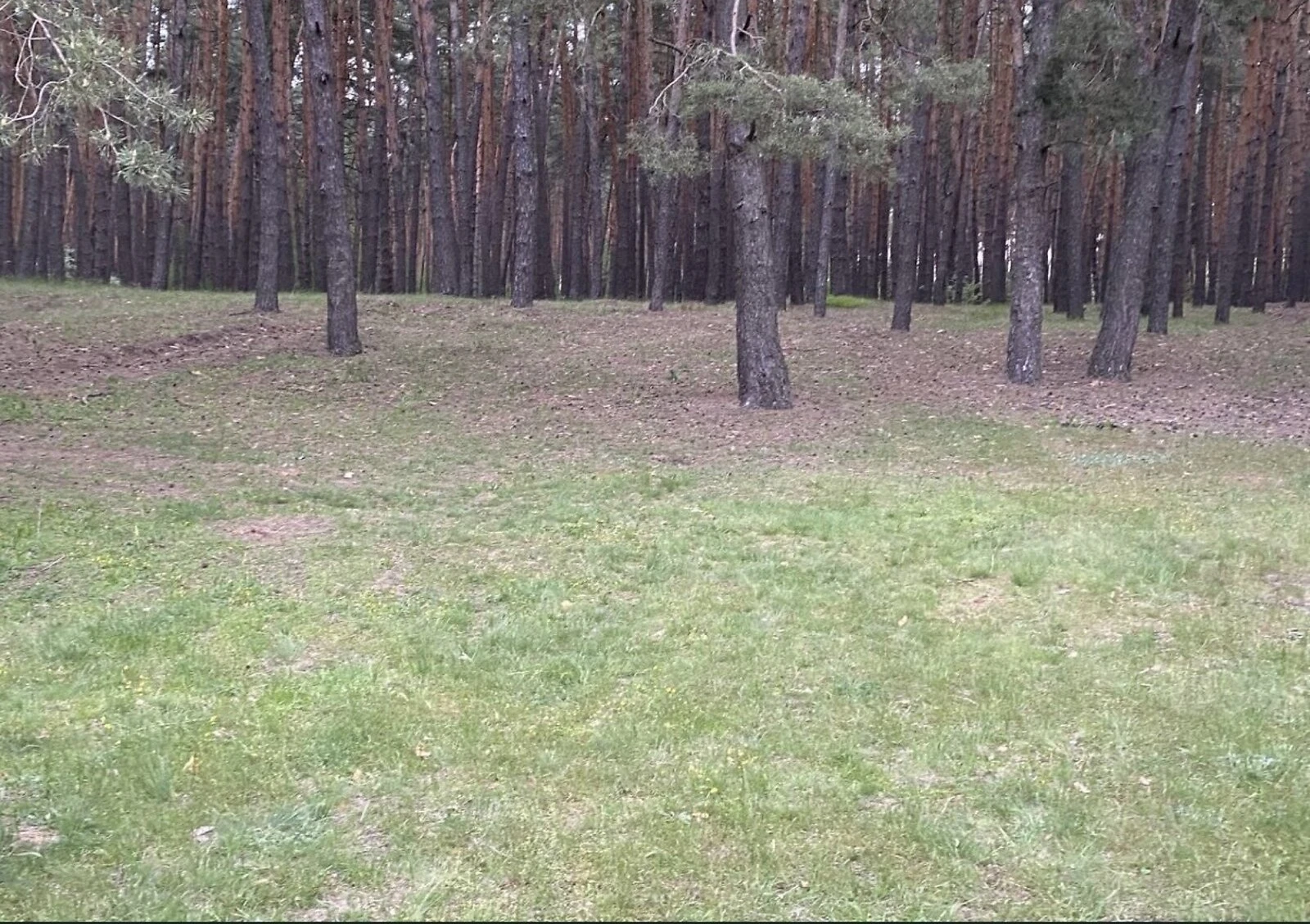 Участок 25 соток, Соколово: сельхозназначение, ровный, фото 4