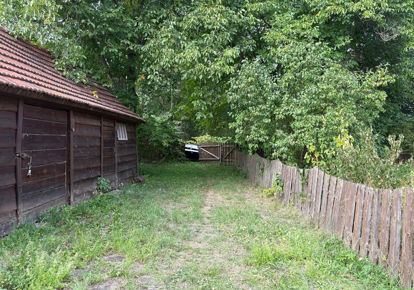 Дача, Делятин: гараж у дворі, свердловина, камін, фото 3