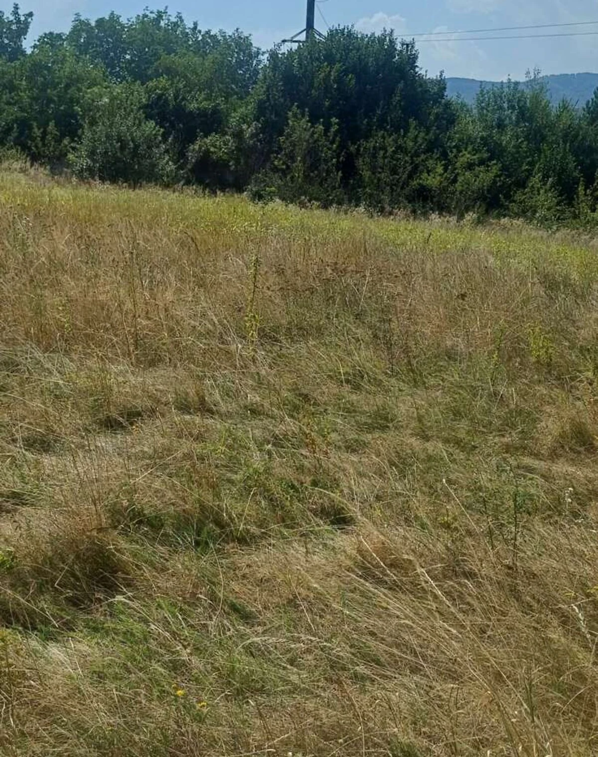 Ділянка 19.8 соток, Смодна: під житлову забудову, чорнозем, під гараж - фото 5