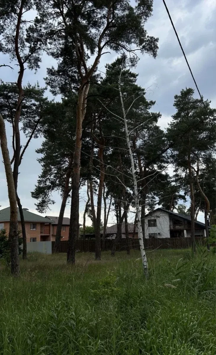 Ділянка 10 соток, Копили: сосновий ліс, комунікації вздовж ділянки - фото 1