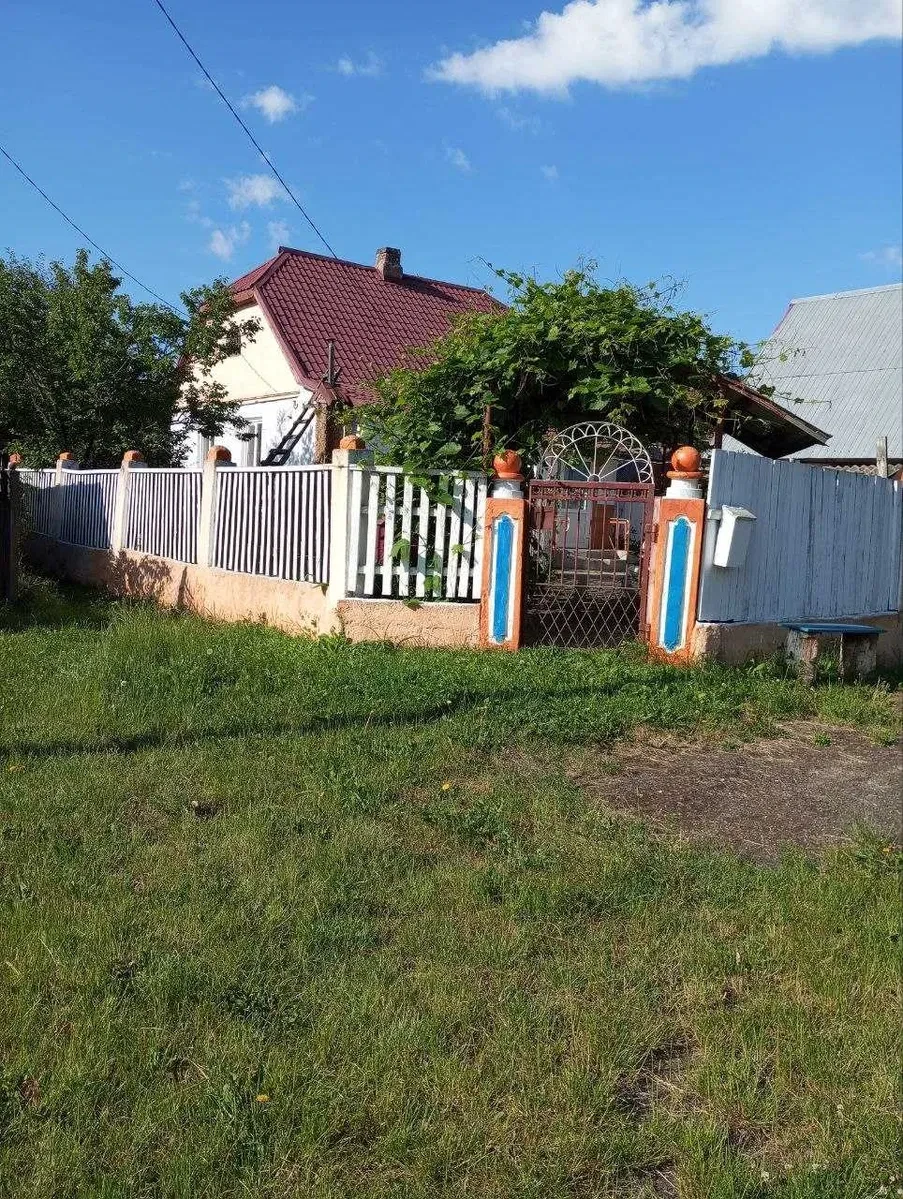 Будинок, Нові Білокоровичі: 25 соток, двоповерховий гараж, сад і город