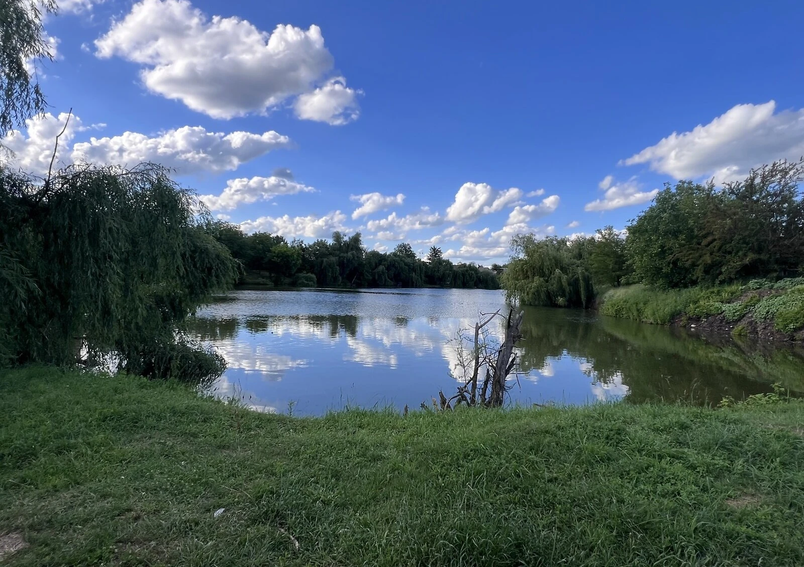Будинок, Рибці: бесідка, тераса, свердловина - фото 3