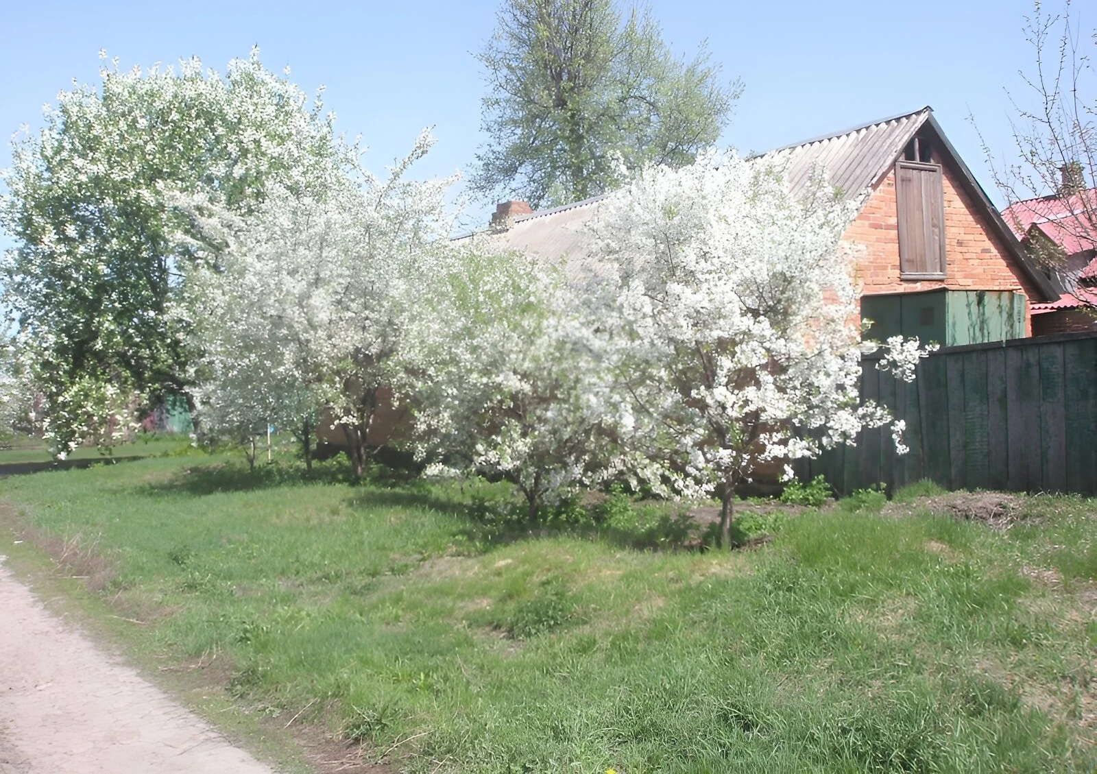 Дача, Бурчак: 56 соток, газове опалення, літня кухня - фото 2