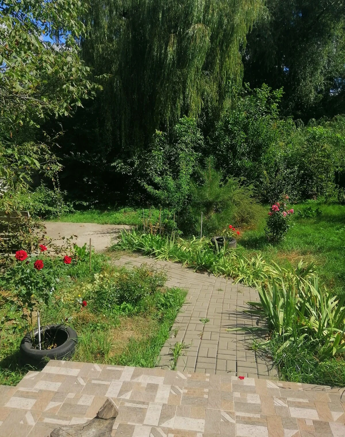 Будинок, Софіївська Борщагівка: бесідка, 5 спалень, єОселя - фото 5