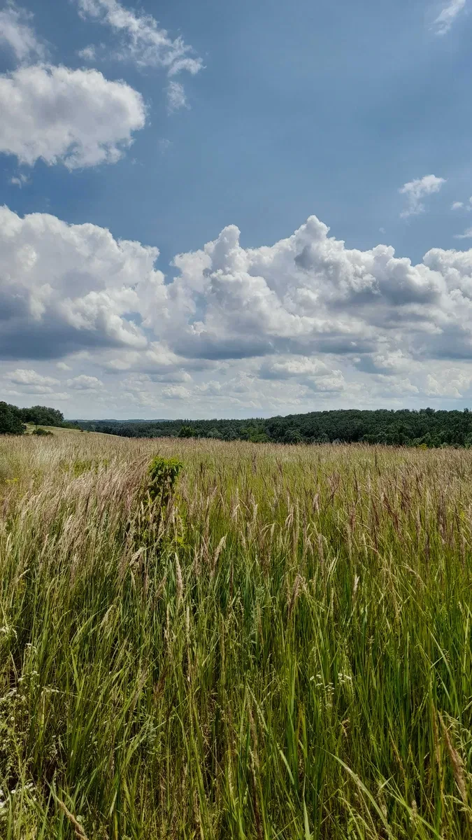 Ділянка 0.10 соток, Ржищів: під житлову забудову, біля лісу, поруч Дніпро - фото 1