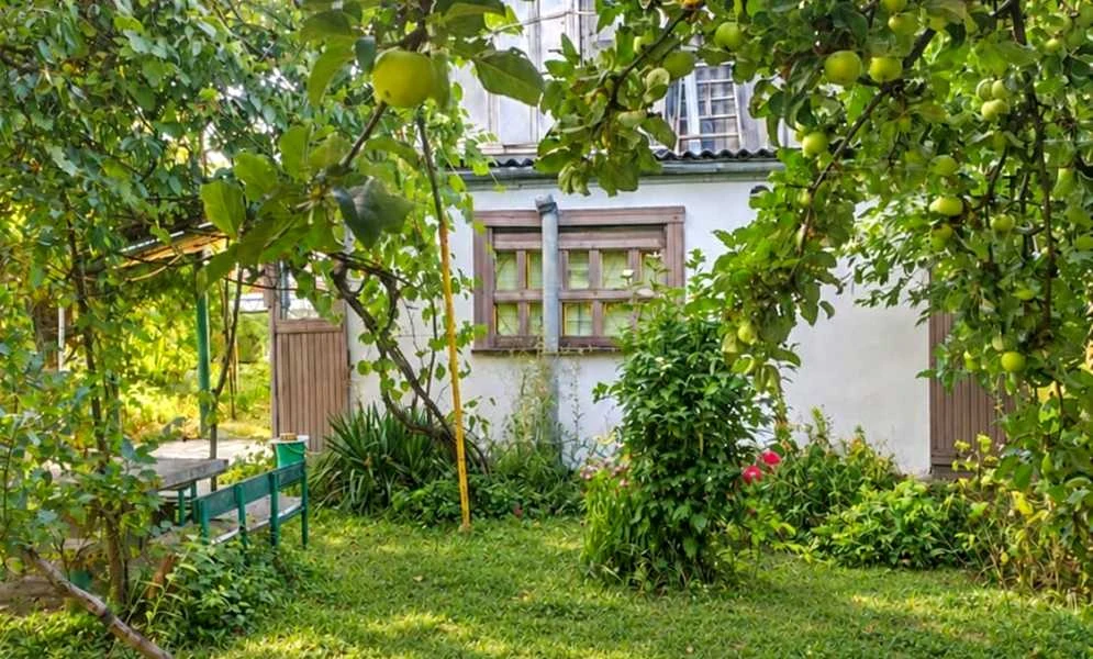 Дача, Глеваха: газ, свердловина, приватизована ділянка - фото 1