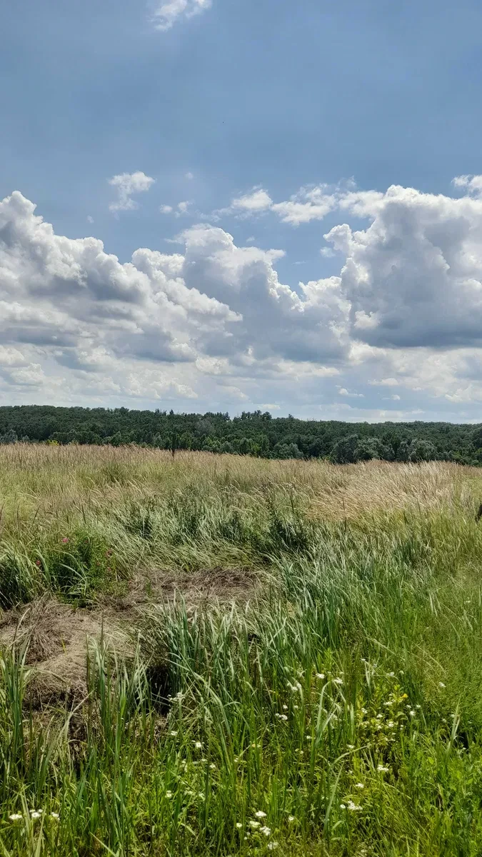 Ділянка 0.10 соток, Ржищів: під житлову забудову, біля лісу, поруч Дніпро - фото 3
