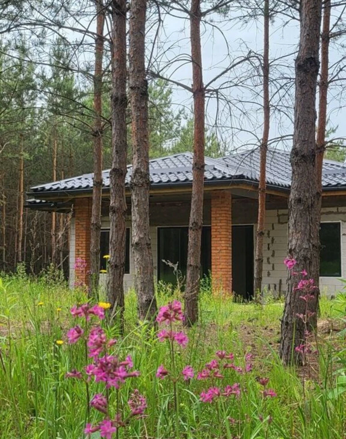 Будинок, Глеваха: газобетон, свердловина і септик - фото 5