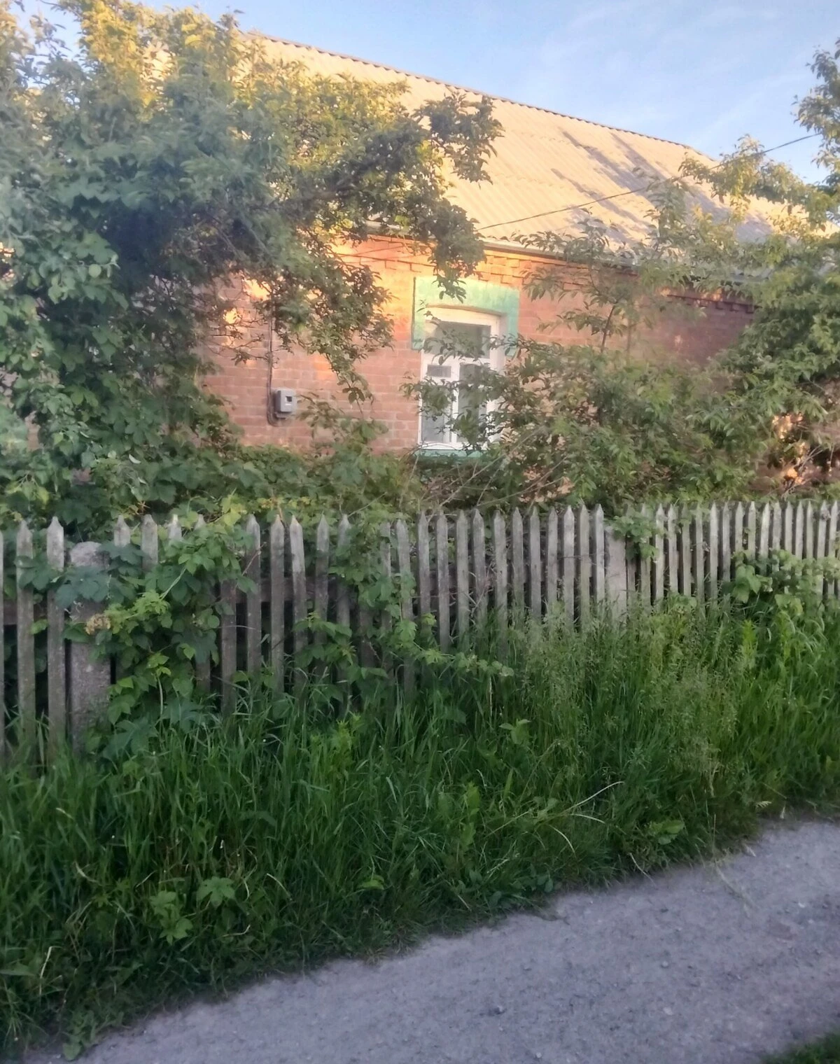 Будинок, Козятин: веранда, сад, свердловина, фото 5