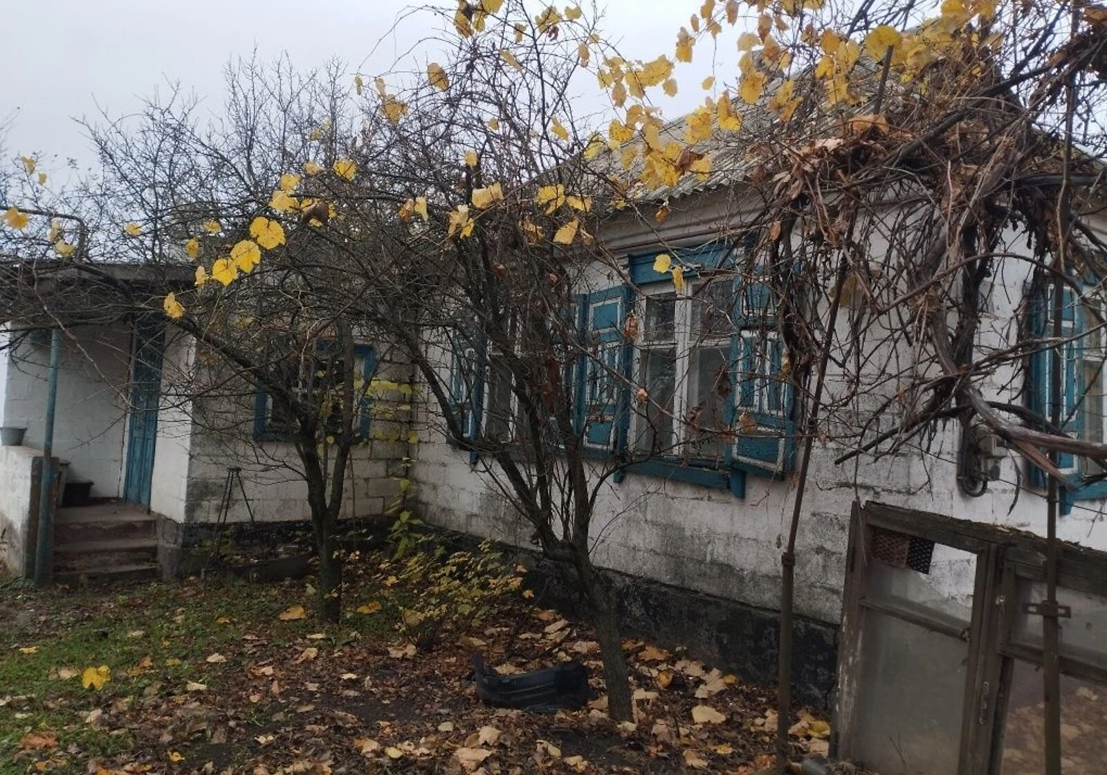 Дом, Александровка (Магдалиновка): кирпичные стены, участок - фото 4