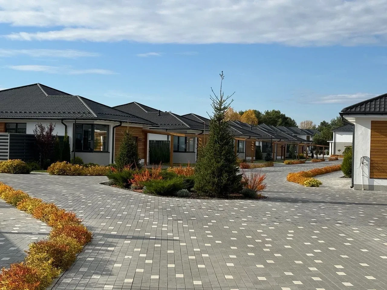 Котедж у ЖК Prydesennya Eco Village: на березі Десни, закрита територія - фото 2
