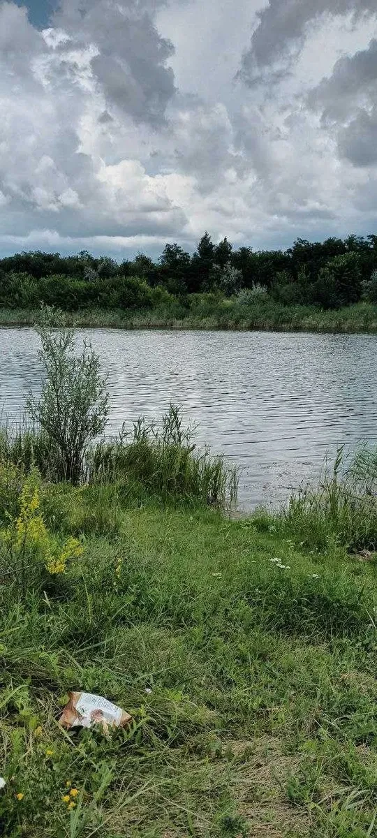 Будинок, Перещепине: ділянка 54 сотки під забудову, фото 4