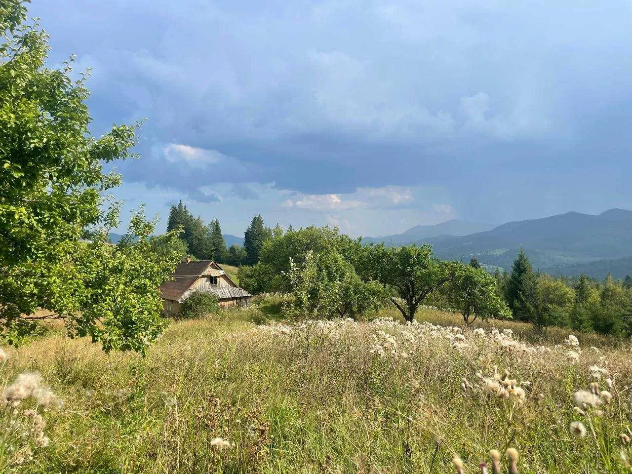 Участок 25 соток, Яблуница: вид на Черногорский хребет, фото 5