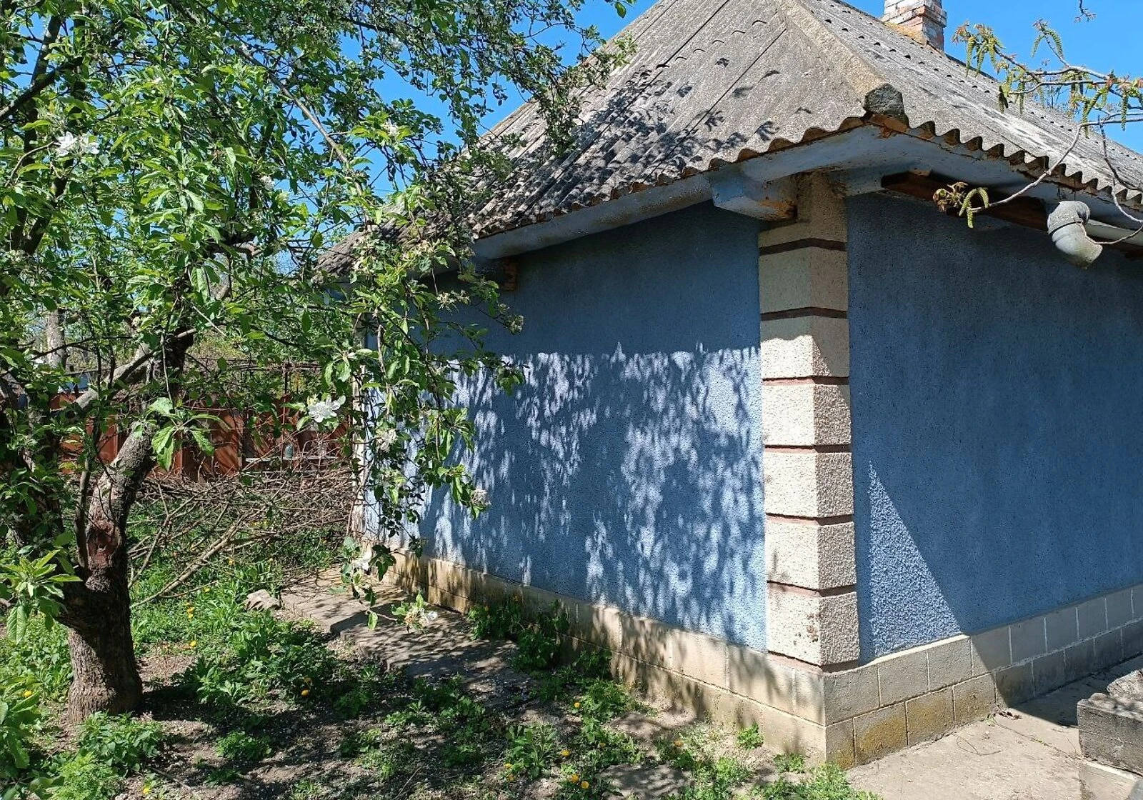 Будинок, Анадоли: бесідка, сад і город, фото 5