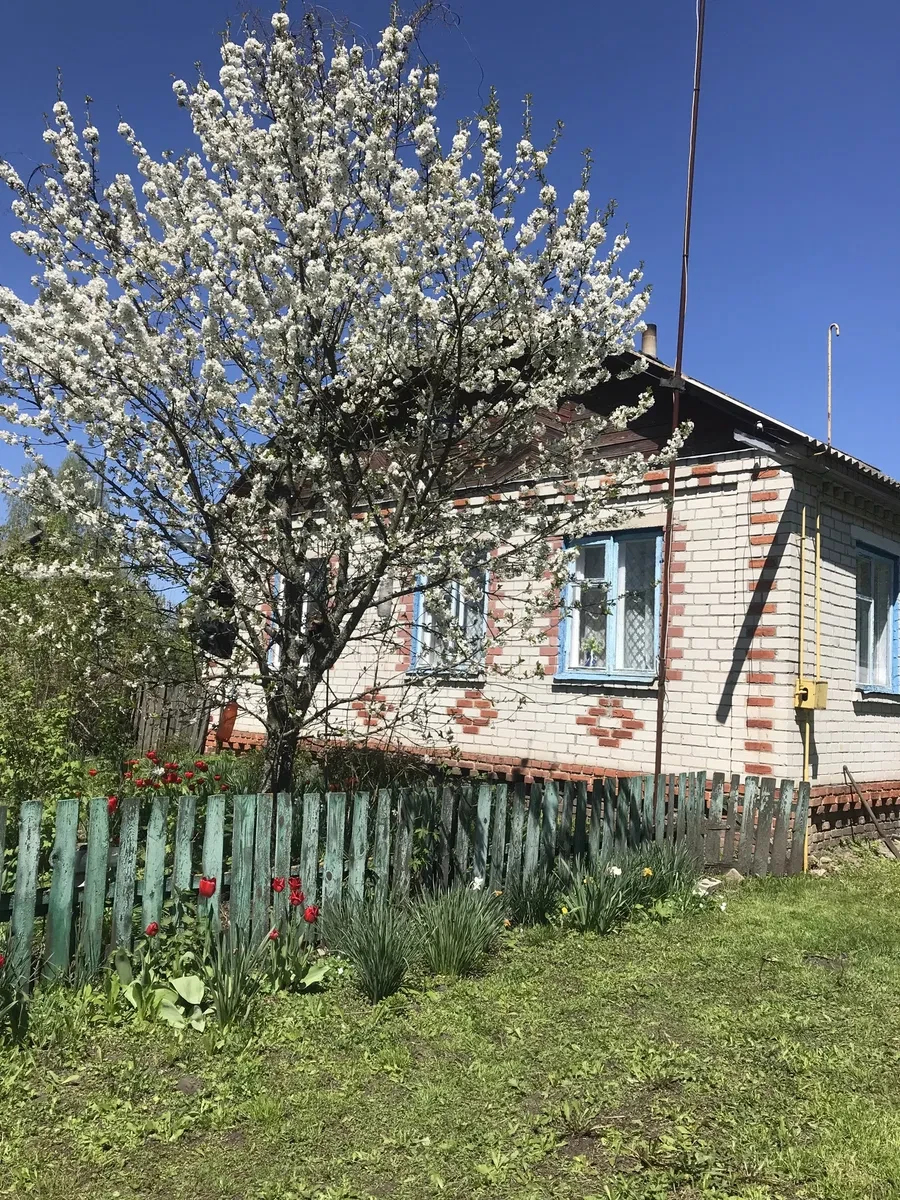 Будинок, Чапаєвка: ділянка 70 соток, газове опалення, фото 2