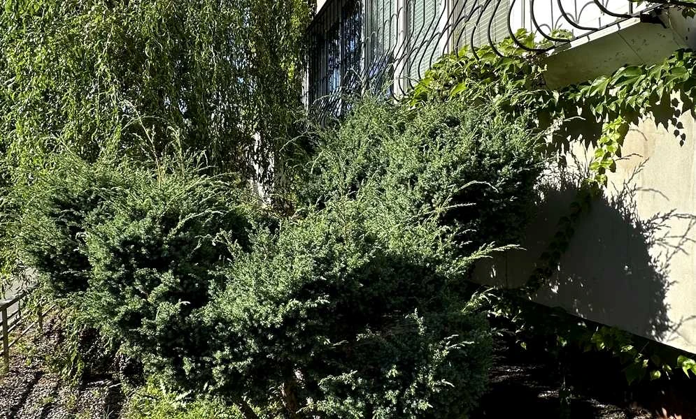 4-комнатная квартира, Дарницкий: все комнаты отдельные, 2 санузла, под офис, фото 4