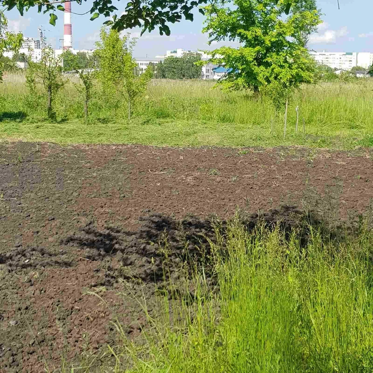 Участок 10 соток, Песочин: техническая вода, можно провести свет, фото 5