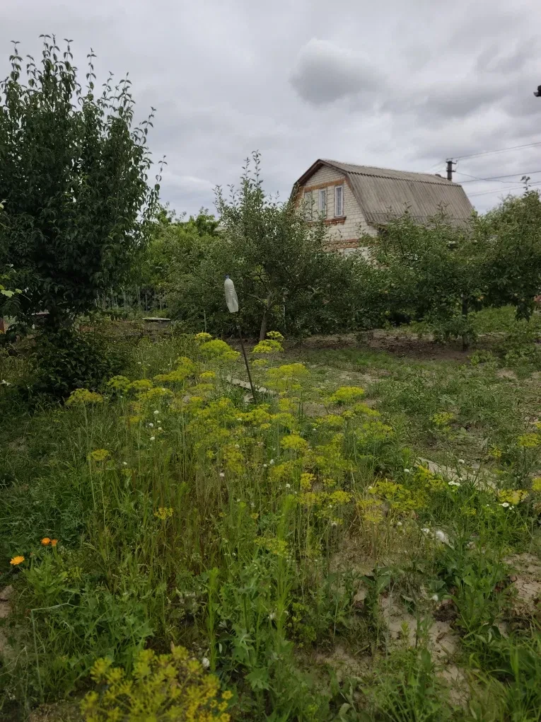 Дача, Вінниця: добудована мансарда, новий дах, додаткова ділянка, фото 5