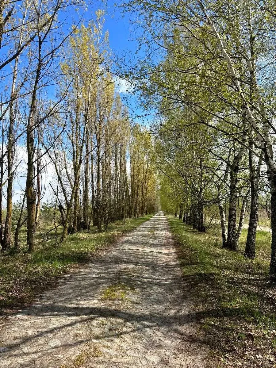 Ділянка 12 соток, Дмитрівка: 15 км до Києва, Житомирська траса, фото 5