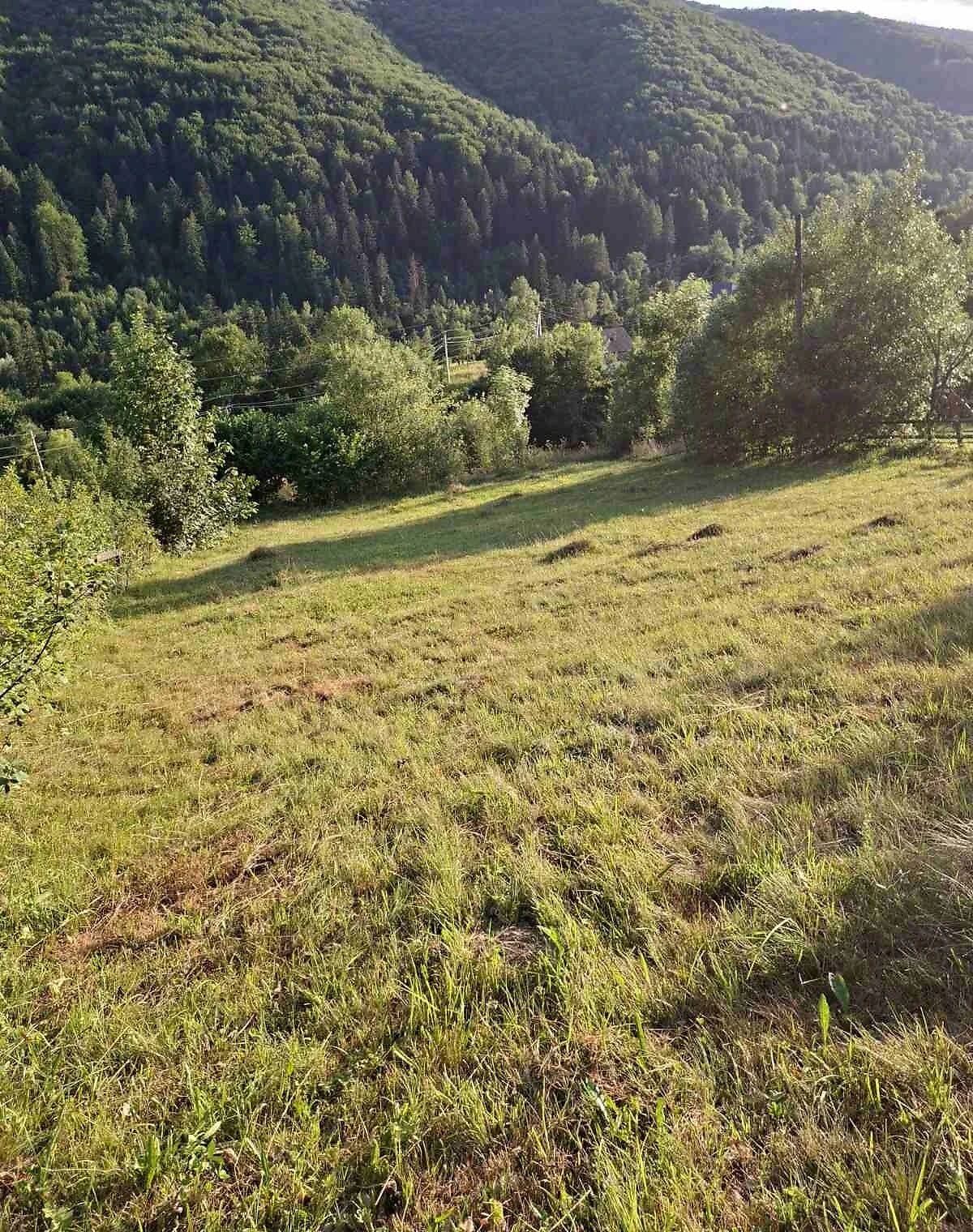 Ділянка 15,2 сотки, Яремче: сільськогосподарська, електрика
