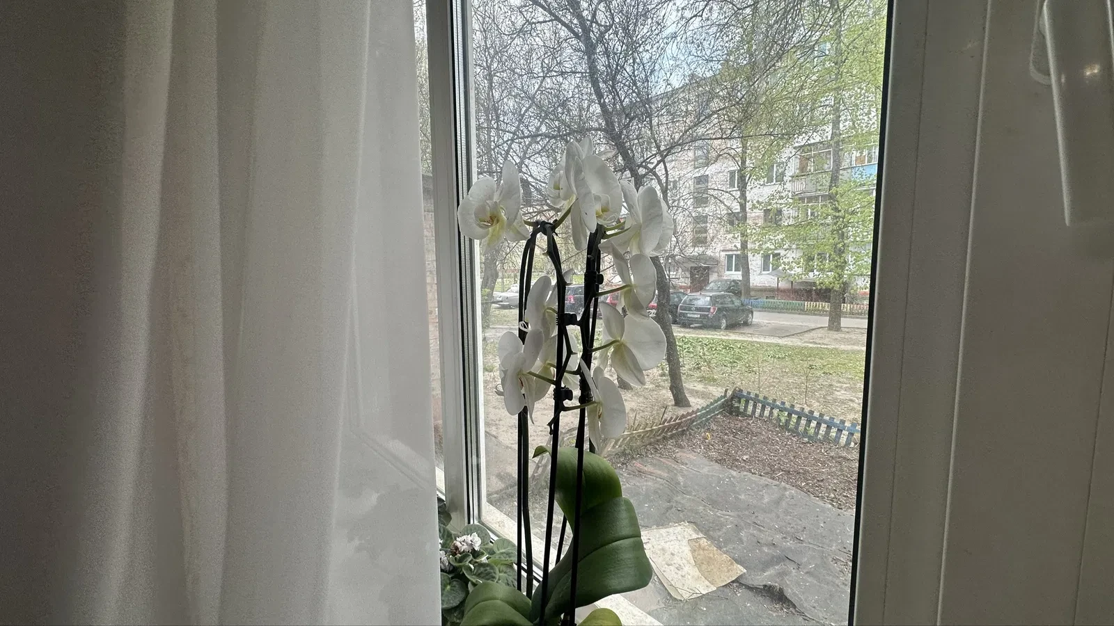 2-кімнатна квартира, Чернігів: біля школи №7, дві окремі кімнати - фото 4