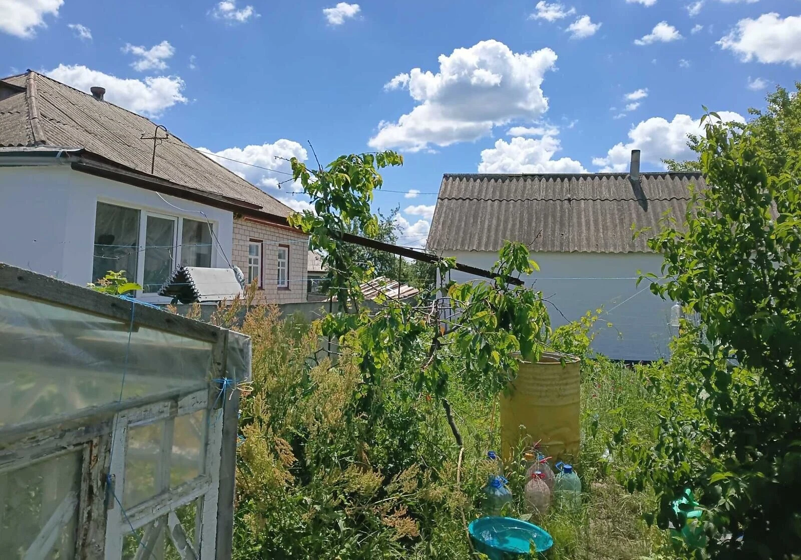 Дом, Березняки (Смела): веранда, сад, летняя кухня, фото 3