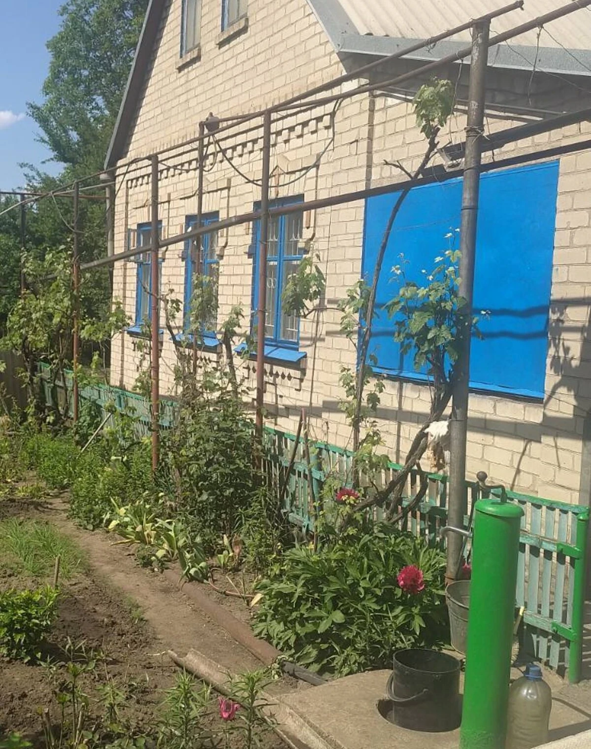 Будинок, 3-й Шевченківський: веранда, сад і літня кухня, фото 5