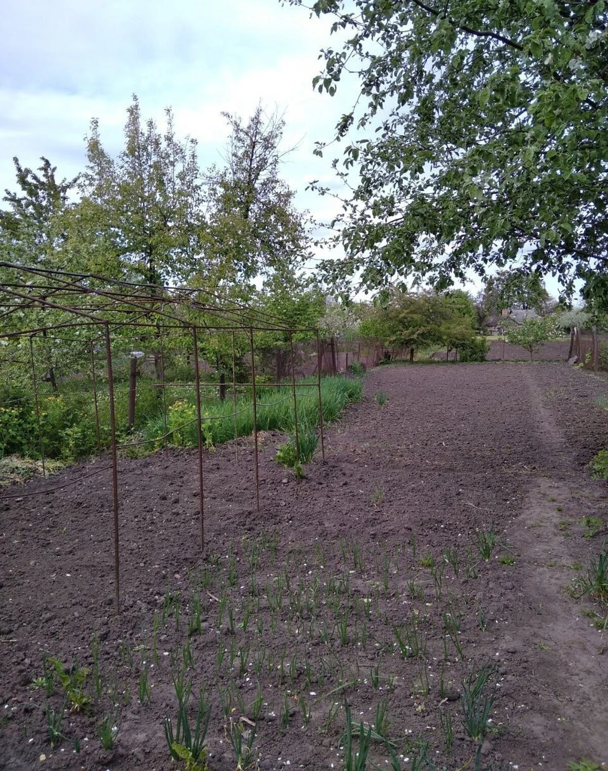 Частина будинку, Олександрівка: 3 кімнати, цегляні стіни - фото 2