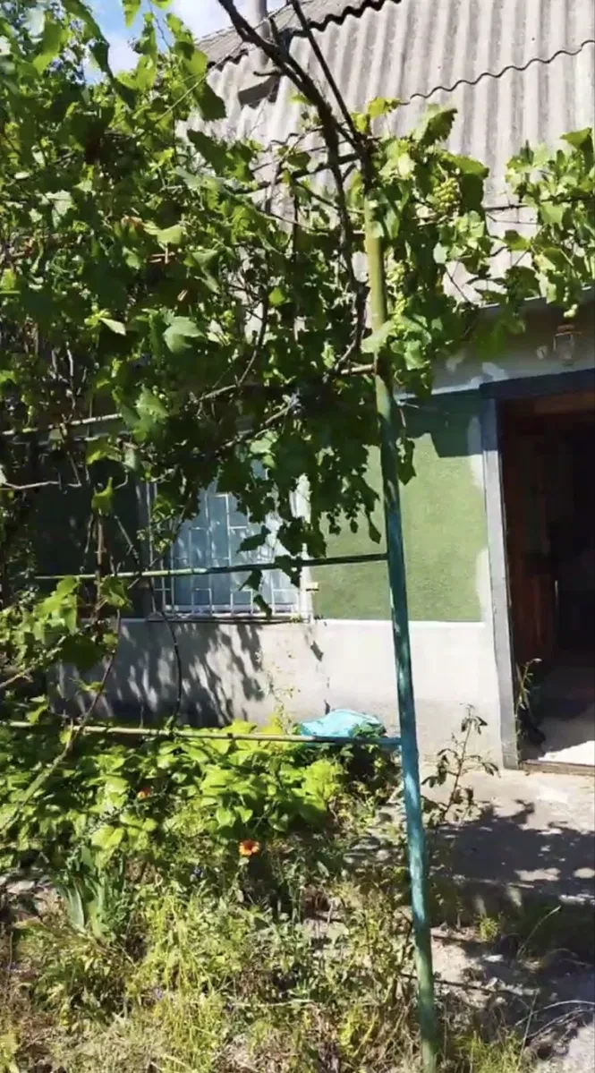Дача, Прибережне: 2 ділянки, садовий будинок, свердловина, фото 2