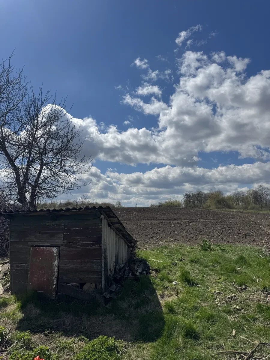 Будинок, Кочубіївка: українська хата, 48 соток землі - фото 4