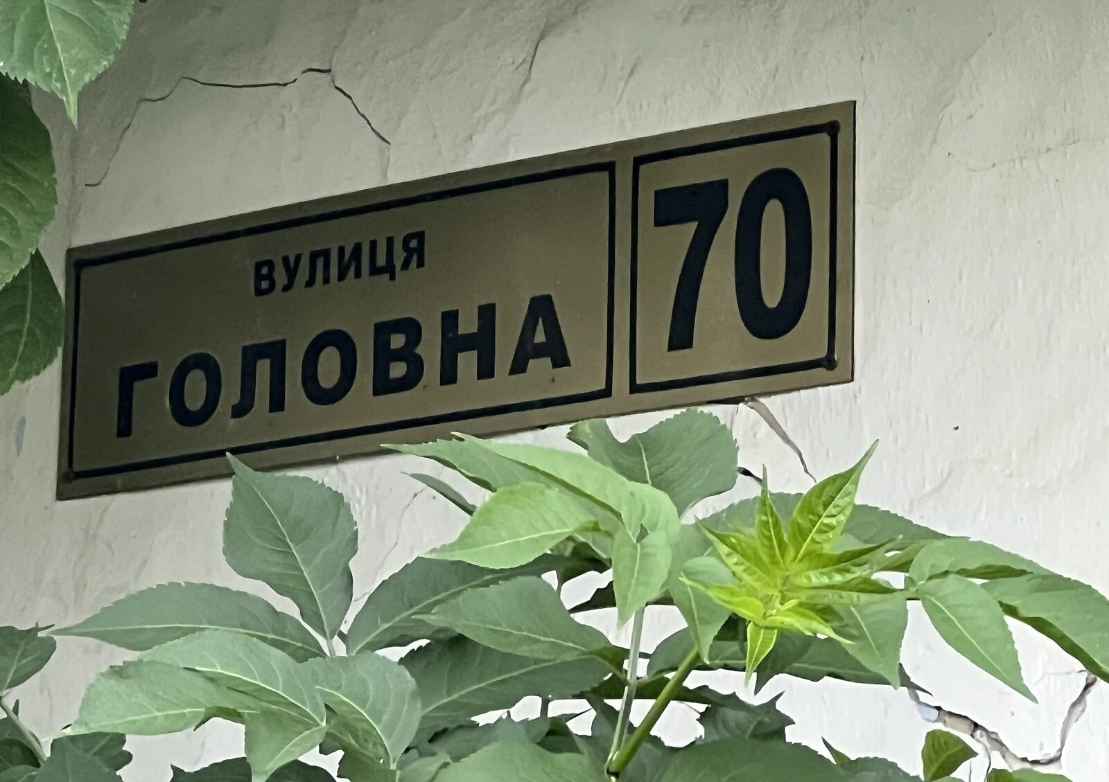 Будинок, Тарашани: басейн, 4 спальні, тенісний корт - фото 4