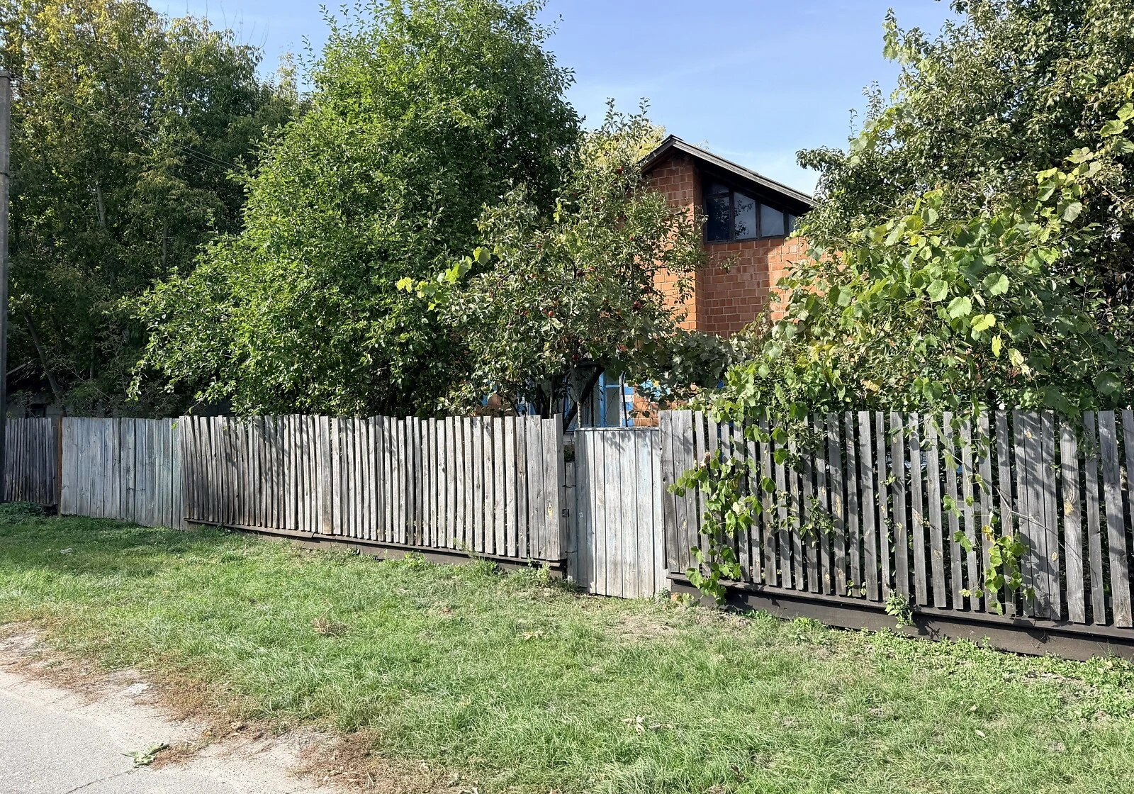 Будинок, Пилипонка: сад, господарські будівлі - фото 2
