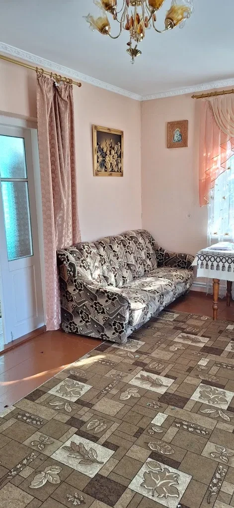 Будинок, Вишнівець: господарські будівлі, 31 сотка - фото 5