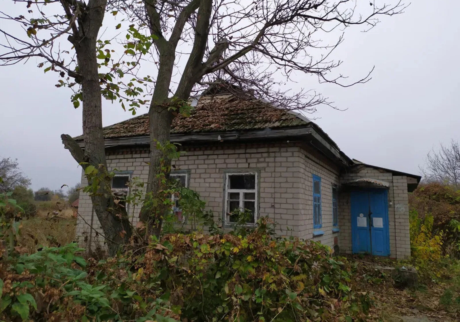 Дача, Белецковка: участок 17 соток, кирпичные стены - фото 1