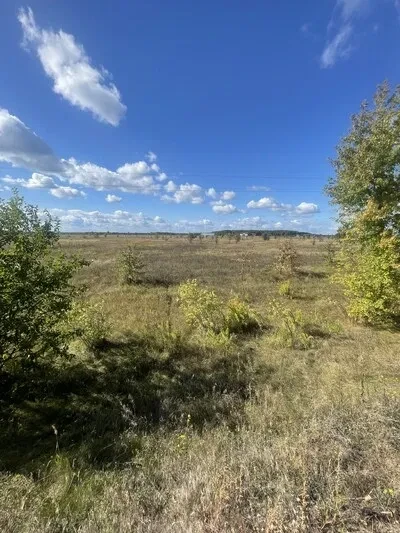 Ділянка 10 соток, Сувид: ліс і річка, два заказники - фото 1