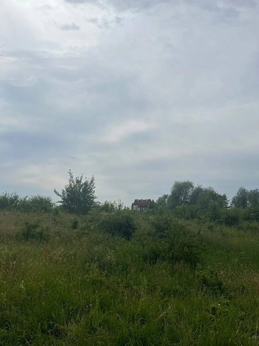 Ділянка 9,80 соток, Вовчинець: пай, родючий ґрунт, торг, фото 3