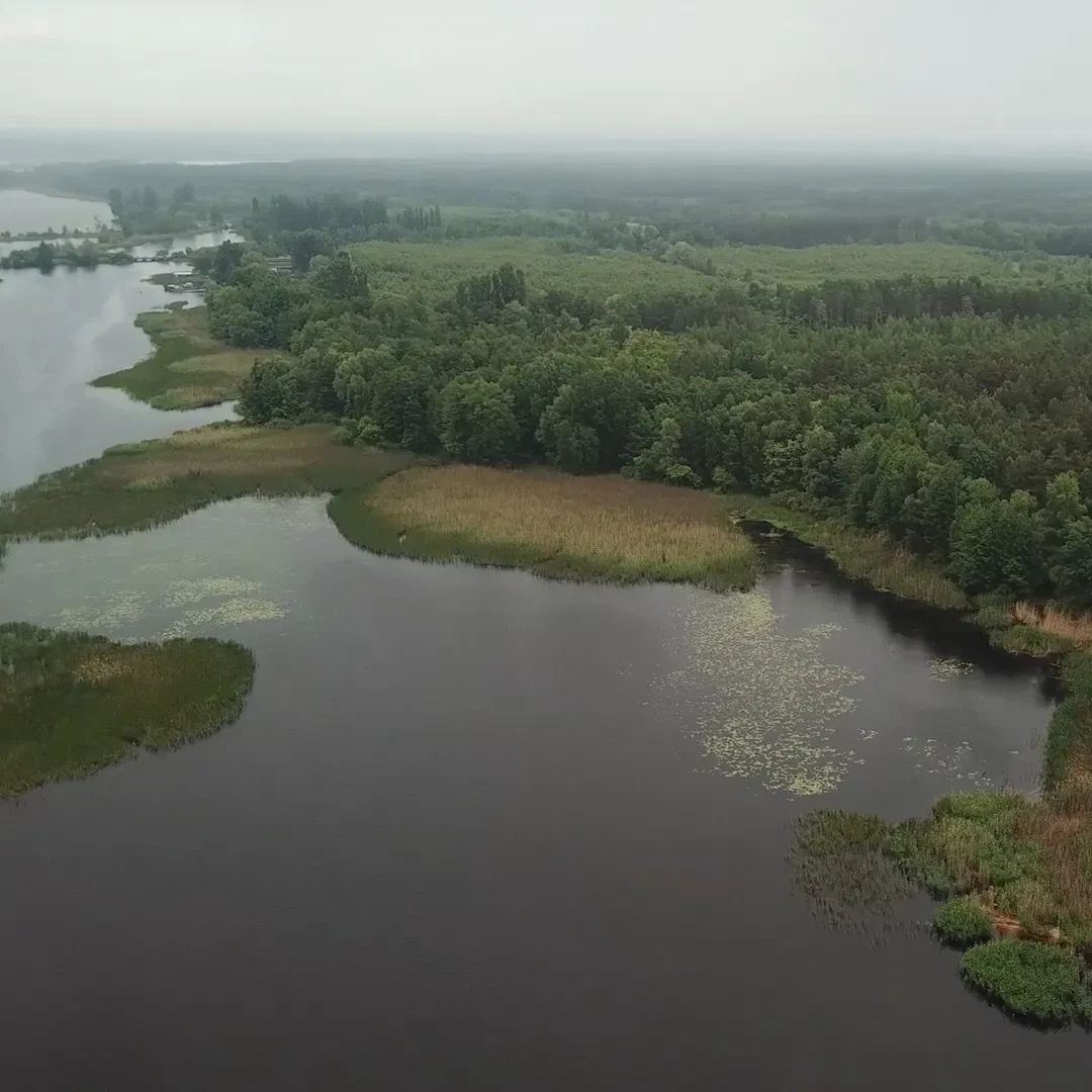 Ділянка 170 соток, Толокунь: вихід до Київського моря, оренда на 49 років - фото 5