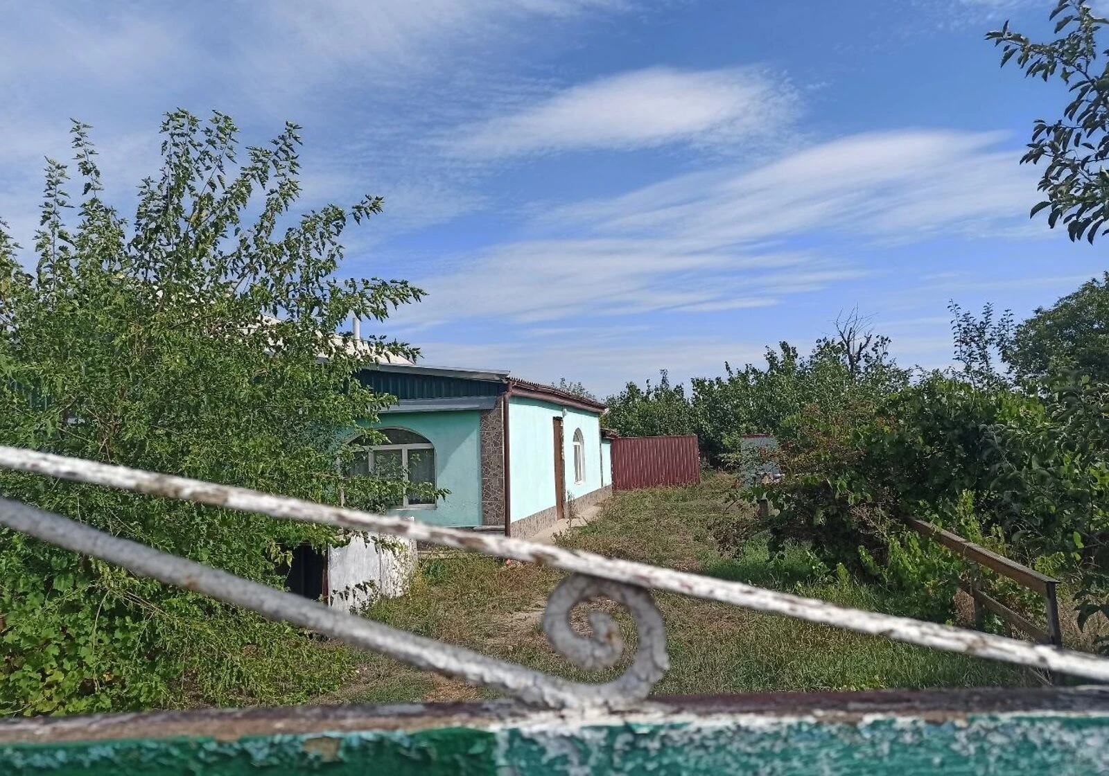 Будинок, Новопетрівка (Велика Михайлівка): 36 соток, торг