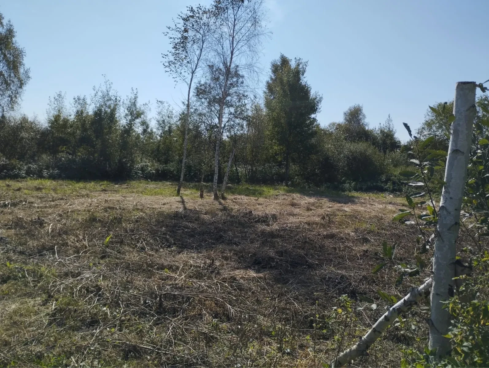 Ділянка 5.93 соток, Підрясне: електрика за 60-70 м - фото 4