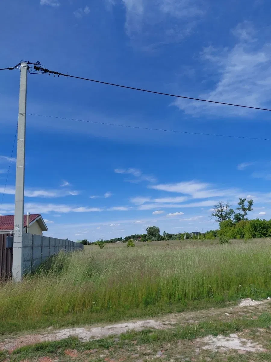 Ділянка 11,8 соток, Затишне: електрика поруч, 25 км від Києва - фото 1